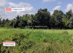 3 Acres agricultural land in Harohalli for sale