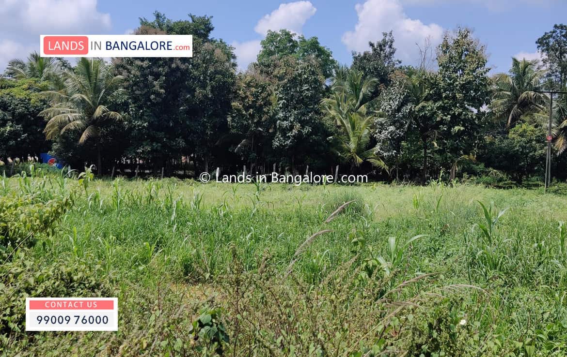 Acres agricultural land in Harohalli