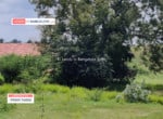 Land for sale in Harohalli Kanakapura road