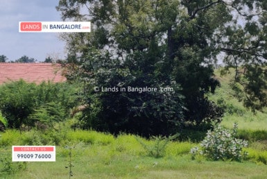 Land for sale in Harohalli Kanakapura road