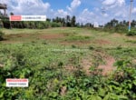 Farm land Agricultural Land for sale in Harohalli Kanakapur