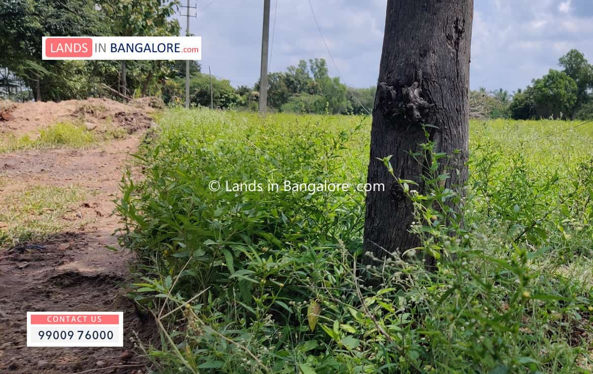 Cheap Agricultural land for sale in Harohalli Kanakapura