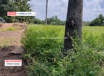 Cheap Agricultural land for sale in Harohalli Kanakapura