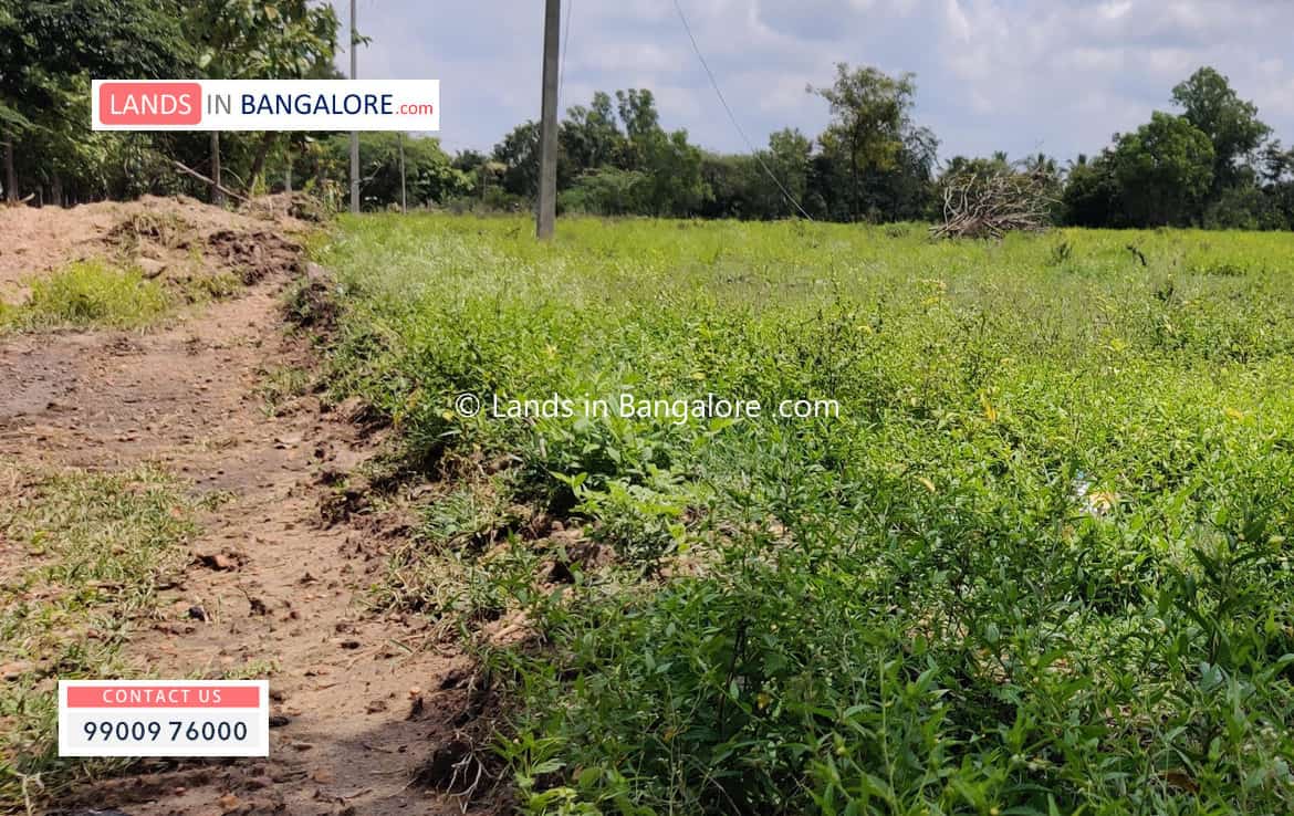 Agricultural land for sale in Harohalli Kanakapura