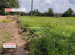 Agricultural land for sale in Harohalli Kanakapura