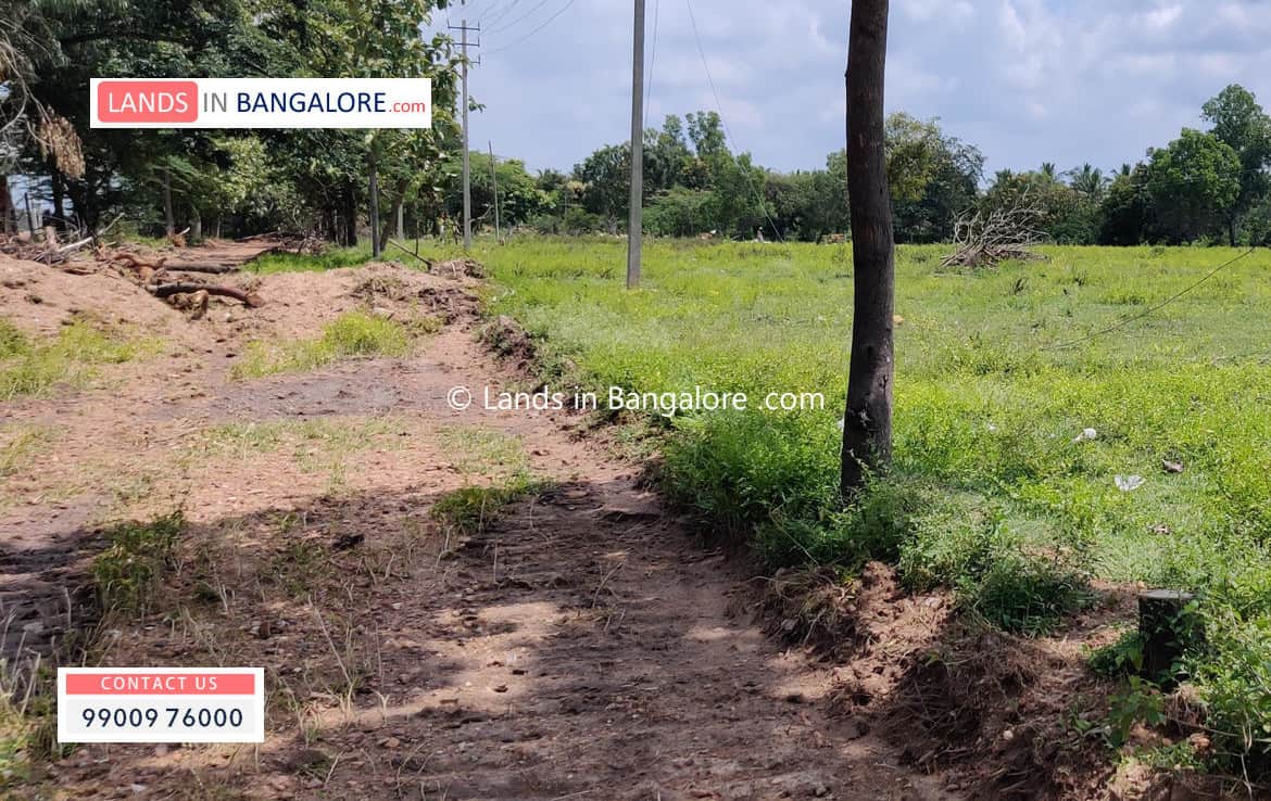 Agricultural land for sale in Harohalli