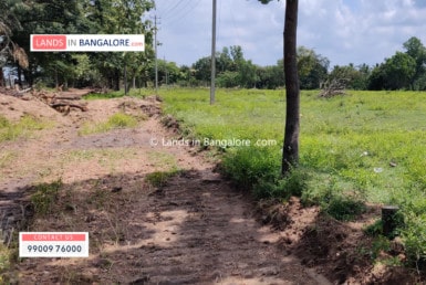 Agricultural land for sale in Harohalli